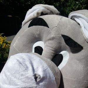 Halloween animal costume kid